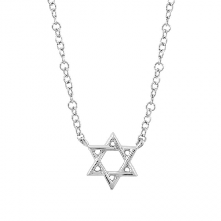 14K Gold Star of David Necklace