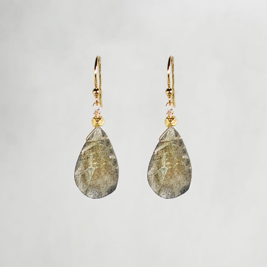 Devon Road Labradorite Teardrop Earrings